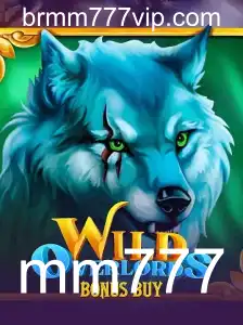 Explorando o Universo de WildOverlordsBonusBuy